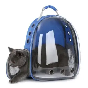 Transparante Astronaut Kat Hond Draagtas 42x22x33 Cm Blauw