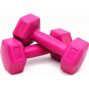 Roze kunststof halterset 1 kg 2 stuks