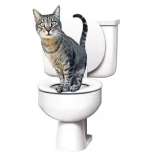 Citi Kitty Kattentoilettrainingsset