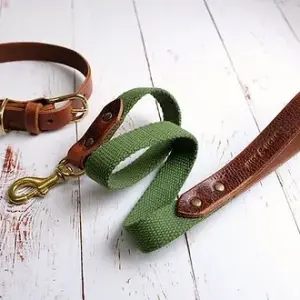 Stijlvolle hondenhalsband en lijnpakket